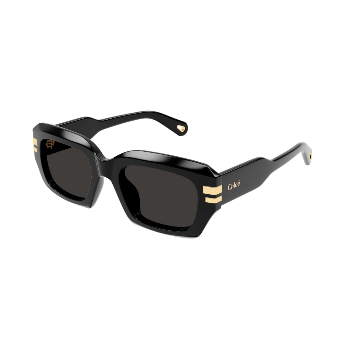 chloé ch0256s
occhiali da sole donna neri rettangolari
occhiali neri con dettagli oro
occhiali oversize eleganti
occhiali estate 2025
sunglasses black frame gold details women